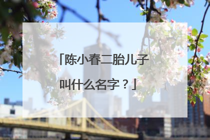 陈小春二胎儿子叫什么名字?