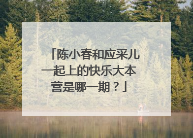 陈小春和应采儿一起上的快乐大本营是哪一期?