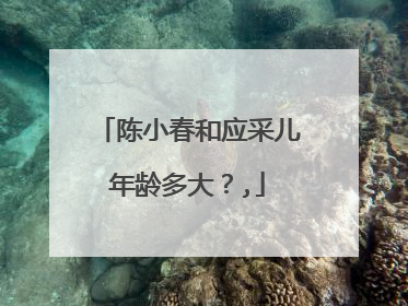 陈小春和应采儿年龄多大？,
