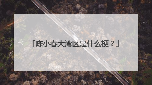 陈小春大湾区是什么梗？