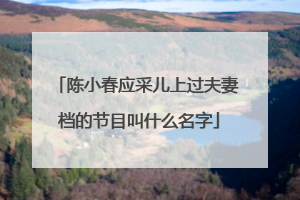 陈小春应采儿上过夫妻档的节目叫什么名字