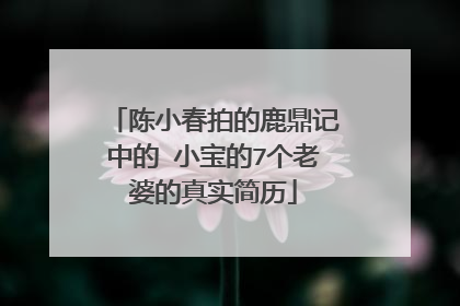 陈小春拍的鹿鼎记中的 小宝的7个老婆的真实简历