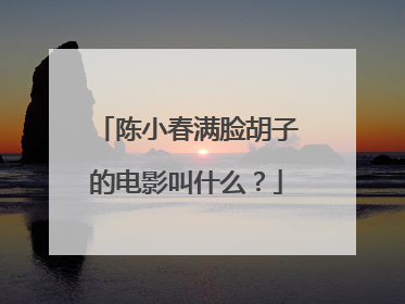 陈小春满脸胡子的电影叫什么?