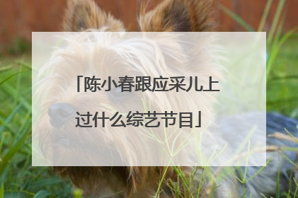 陈小春跟应采儿上过什么综艺节目