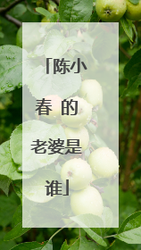 陈小春 的老婆是谁