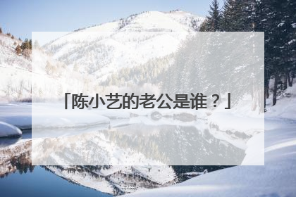 陈小艺的老公是谁?