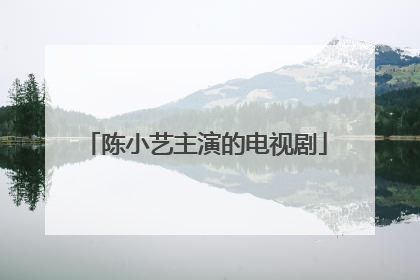 陈小艺主演的电视剧