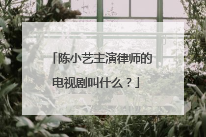 陈小艺主演律师的电视剧叫什么？