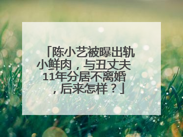 陈小艺被曝出轨小鲜肉,与丑丈夫11年分居不离婚,后来怎样?
