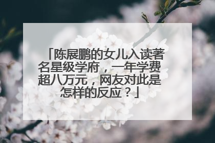 陈展鹏的女儿入读著名星级学府,一年学费超八万元,网友对此是怎样的反应?