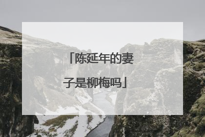 陈延年的妻子是柳梅吗