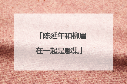 陈延年和柳眉在一起是哪集