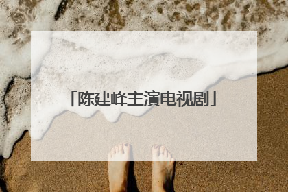 陈建峰主演电视剧