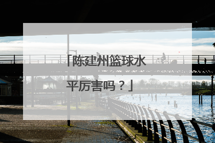 陈建州篮球水平厉害吗？