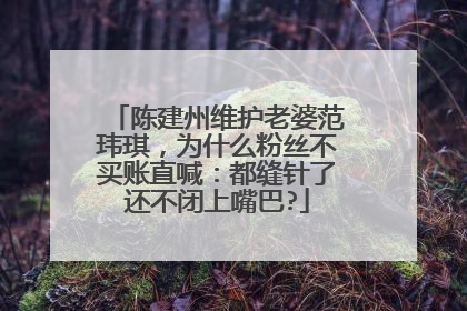 陈建州维护老婆范玮琪,为什么粉丝不买账直喊:都缝针了还不闭上嘴巴?