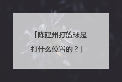陈建州打篮球是打什么位置的?