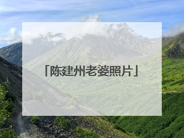 陈建州老婆照片