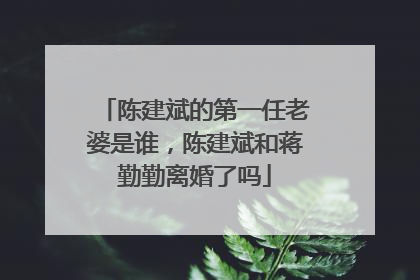 陈建斌的第一任老婆是谁，陈建斌和蒋勤勤离婚了吗