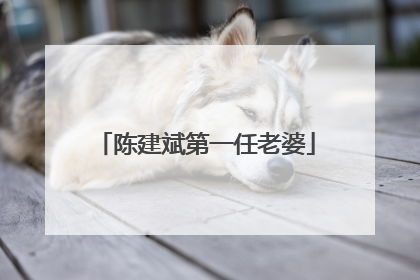 陈建斌第一任老婆