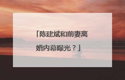 陈建斌和前妻离婚内幕曝光?