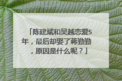 陈建斌和吴越恋爱5年,最后却娶了蒋勤勤,原因是什么呢?