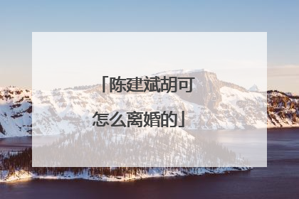 陈建斌胡可怎么离婚的