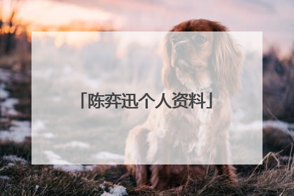 陈弈迅个人资料