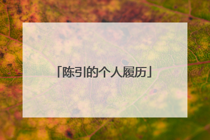 陈引的个人履历