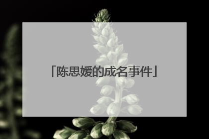 陈思媛的成名事件