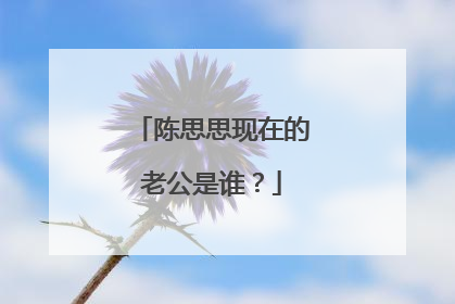 陈思思现在的老公是谁?