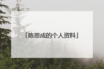陈思成的个人资料