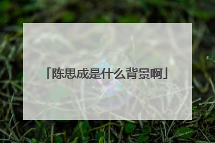 陈思成是什么背景啊