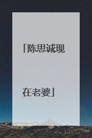 陈思诚现在老婆