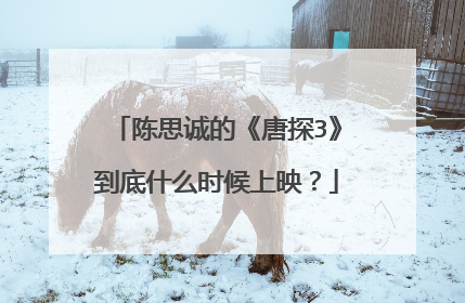 陈思诚的《唐探3》到底什么时候上映？