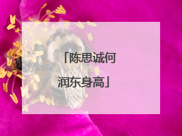 陈思诚何润东身高