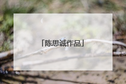 陈思诚作品