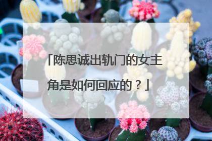 陈思诚出轨门的女主角是如何回应的？