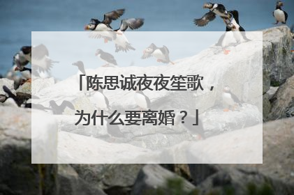 陈思诚夜夜笙歌，为什么要离婚？