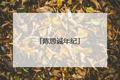 陈思诚年纪