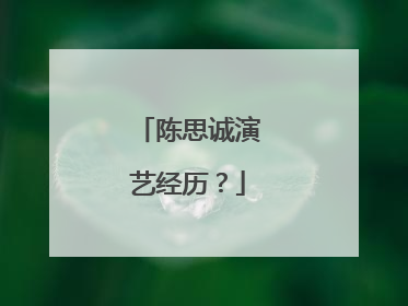 陈思诚演艺经历?