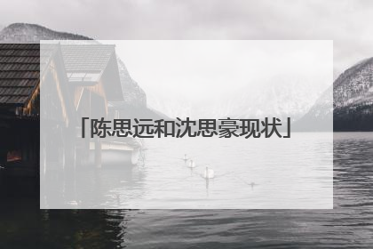 陈思远和沈思豪现状