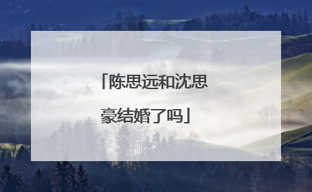 陈思远和沈思豪结婚了吗