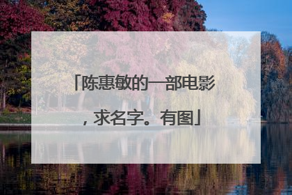 陈惠敏的一部电影，求名字。有图