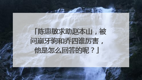 陈惠敏求助赵本山，被问崩牙驹和乔四谁厉害，他是怎么回答的呢？