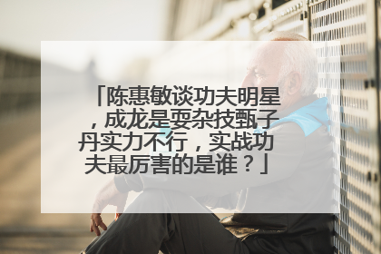 陈惠敏谈功夫明星，成龙是耍杂技甄子丹实力不行，实战功夫最厉害的是谁？