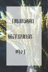 陈意涵和杨洋是姐弟吗?