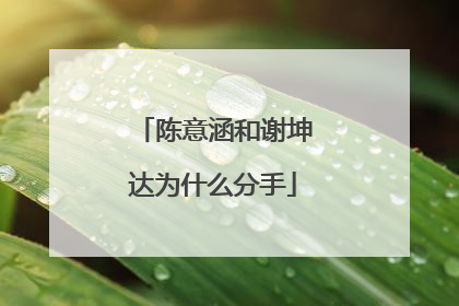 陈意涵和谢坤达为什么分手