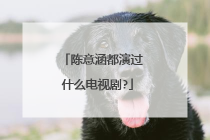 陈意涵都演过什么电视剧?