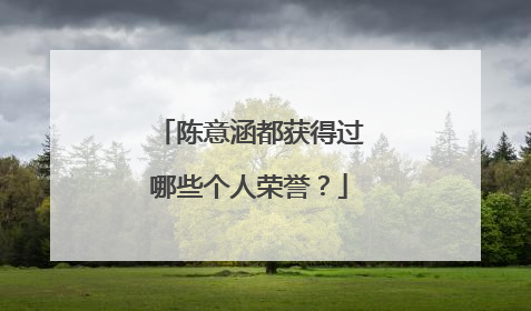 陈意涵都获得过哪些个人荣誉？