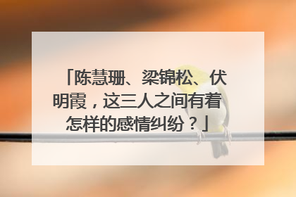 陈慧珊、梁锦松、伏明霞，这三人之间有着怎样的感情纠纷？
